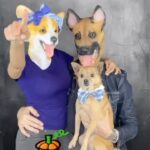 Anjali Bhimani Instagram - Happy Howl-O-Ween! Throwback to 2020 when @charleythebestdog decided we should just do a family portrait for the holiday. Clever boi. . . . . . . #charleythebestdog #halloween #rescuedog #throwback #iamfunsize #howloween Hollywood, California