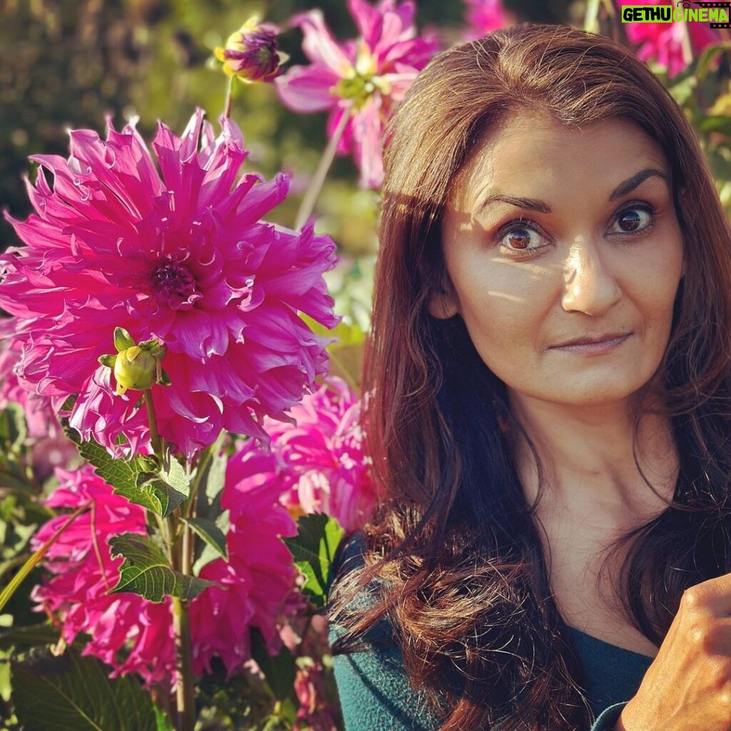 Anjali Bhimani Instagram - Sometimes all you need for #selfcaresunday is to get out in nature … and find a dahlia as big as your head. 📸: @jhalegram Victoria, British Columbia