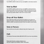 Anna Faris Instagram - It’s time to vote as early as possible. Text VOTER to 26797 for more information. #iamavoter @iamavoter #octobervoter Swipe → for more.