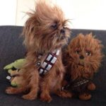 Annie Murphy Instagram - How do I get me one of these?