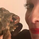 Annie Murphy Instagram – I like turtles.