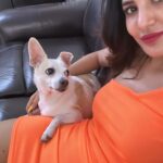 Ashu Reddy Instagram - The only view pets care about, is us!!😍❤️ #ashureddy #Rajugadu #mypet #adoptdontshop #shetlerpetsarethebest 🩵 Hyderabad