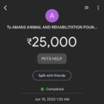 Ashu Reddy Instagram - Let's be the voice for the voiceless, I have done my part, please donate to help these pets to get better health and find their forever homes!! If we can't do it, who will do it for them? PLEASE 🙏🏻 #ashureddy #kindnessmatters #letshelp #petsarefamily @aarf_official we are with you always!! 😊🫶🏻❤️ #pleasedonateasmuchasyoucan ❣️