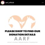 Ashu Reddy Instagram - Let's be the voice for the voiceless, I have done my part, please donate to help these pets to get better health and find their forever homes!! If we can't do it, who will do it for them? PLEASE 🙏🏻 #ashureddy #kindnessmatters #letshelp #petsarefamily @aarf_official we are with you always!! 😊🫶🏻❤️ #pleasedonateasmuchasyoucan ❣️