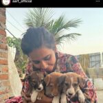 Ashu Reddy Instagram - Let's be the voice for the voiceless, I have done my part, please donate to help these pets to get better health and find their forever homes!! If we can't do it, who will do it for them? PLEASE 🙏🏻 #ashureddy #kindnessmatters #letshelp #petsarefamily @aarf_official we are with you always!! 😊🫶🏻❤️ #pleasedonateasmuchasyoucan ❣️