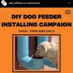 Ashu Reddy Instagram - Let's be the voice for the voiceless, I have done my part, please donate to help these pets to get better health and find their forever homes!! If we can't do it, who will do it for them? PLEASE 🙏🏻 #ashureddy #kindnessmatters #letshelp #petsarefamily @aarf_official we are with you always!! 😊🫶🏻❤️ #pleasedonateasmuchasyoucan ❣️