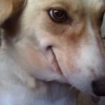 Avan Jogia Instagram - Blah 18 - ???????