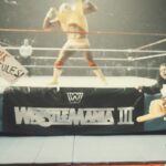 Bianca Crawford Instagram - 1984 ➡️ 2024 Relive 40 years of greatness #WWE2K24!