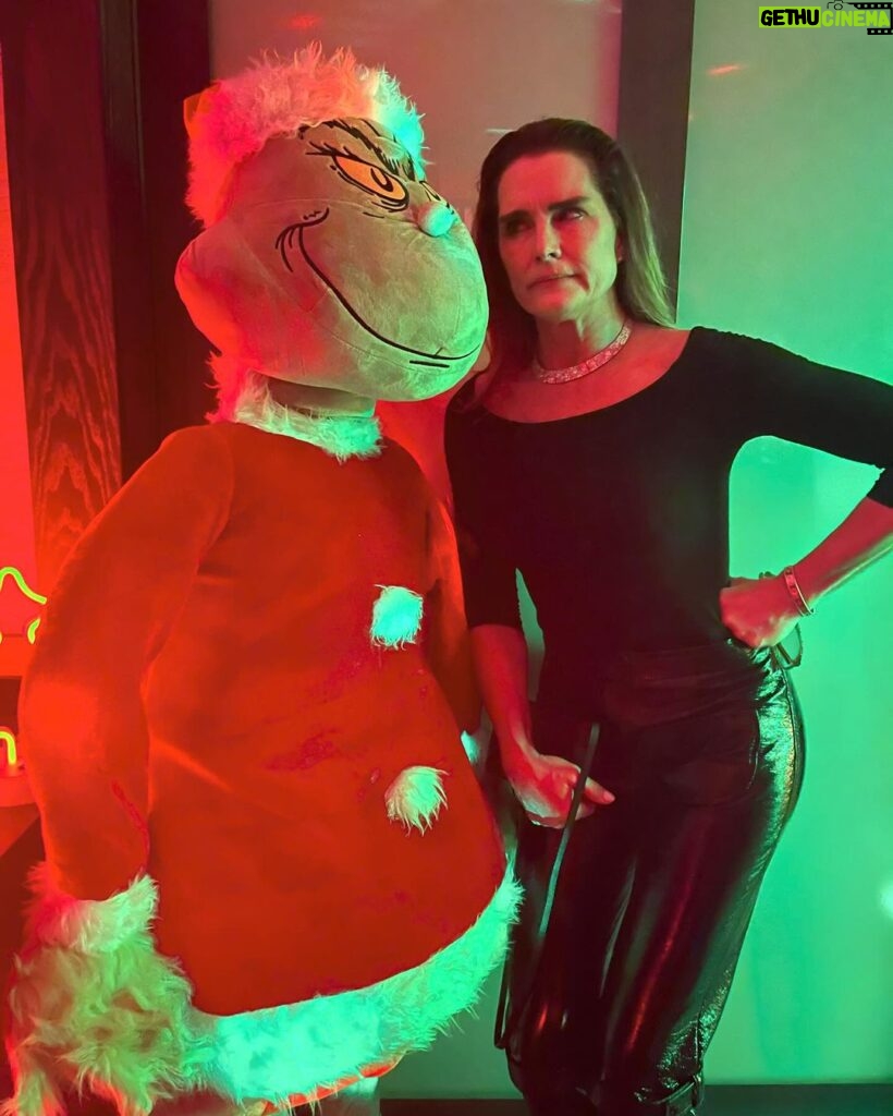 Brooke Shields Instagram - end of year moments...