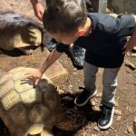 Buse Varol Instagram - Bugünden💓 çok eğlendik oğlumla🤗🧿 Aslan Park