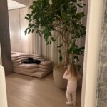 Chiara Ferragni Instagram - Vi presento Feliciona: non solo una pianta, ma un luogo della casa dove poter riflettere e ricordarci sempre delle piccole felicità quotidiane. Benvenuta in famiglia Feliciona, cresciamo insieme, sotto lo stesso cielo, nutrendoci di luce, amore e positività 🍀🍃🌿 Milan, Italy