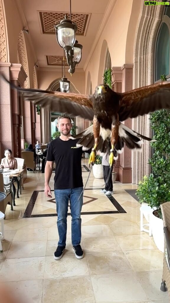 Cody Walker Instagram - My new friend Loki. #abudhabi #uae #emiratespalace