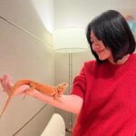 Dee Hsu Instagram - 女兒一直發性感照，新聞一直登🙄我現在不想性感，只好靠珍奇異獸搏版面😮‍💨新聞沒登，我就息影⋯⋯⋯⋯一個禮拜😏