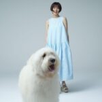 Elaiza Ikeda Instagram - 映画『ハウ』本日全国劇場にて公開です！ 心がほどけていく温かい作品を皆様にお届けできて幸せです。 是非スクリーンにて大きなハウをご覧ください、そして、ハウが紡ぐそれぞれの物語に心癒されますように。 🫠涙脆い方は替えのマスクとタオルハンカチを持っていくことをお勧めします