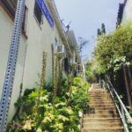 Elizabeth Lail Instagram - Music Box Steps #urbanhiking #hollywoodhistory