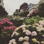 Elizabeth Lail Instagram - Can you guess where I am?