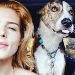 Emily Bett Rickards Instagram - Find someone who looks at you like Ophie looks at 🍗
