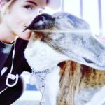 Emily Bett Rickards Instagram - Final run of 2018 together. I attempt to get a shot of us every time from this spot. She’s not a fan... Of the run or the photo shoot. And I don’t care 🤷‍♀️ 💙🐶
