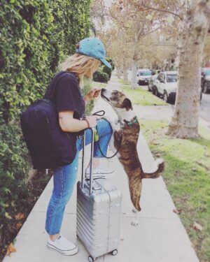 Emily Bett Rickards Instagram - Away with my number one bae! 🐕