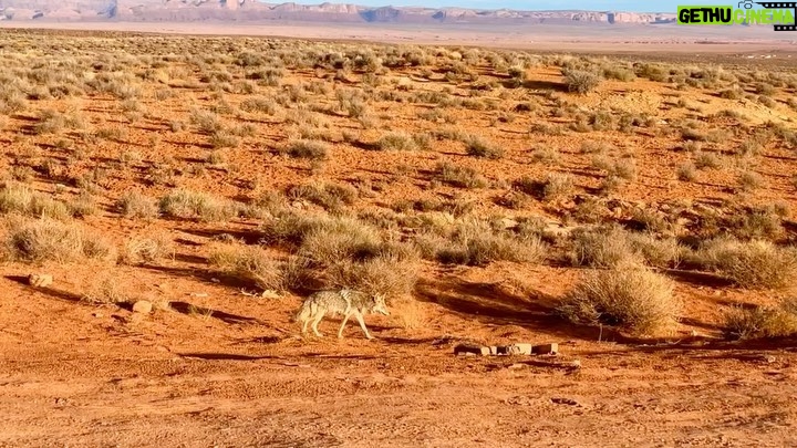 Eren Vurdem Instagram - Gitmeye değer yerlerin kestirmesi yoktur ... Utah / Monument Valley