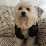 Esther Marcos Instagram - qual música o neneg ta ouvindo? A: “ESPERE” B: “música nova” 👀 C: “Melhor Amigo”