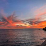 Fran Drescher Instagram - Drink in the beauty that abounds. Be grateful you are here! Problems can get solved but life itself is so ephemeral…