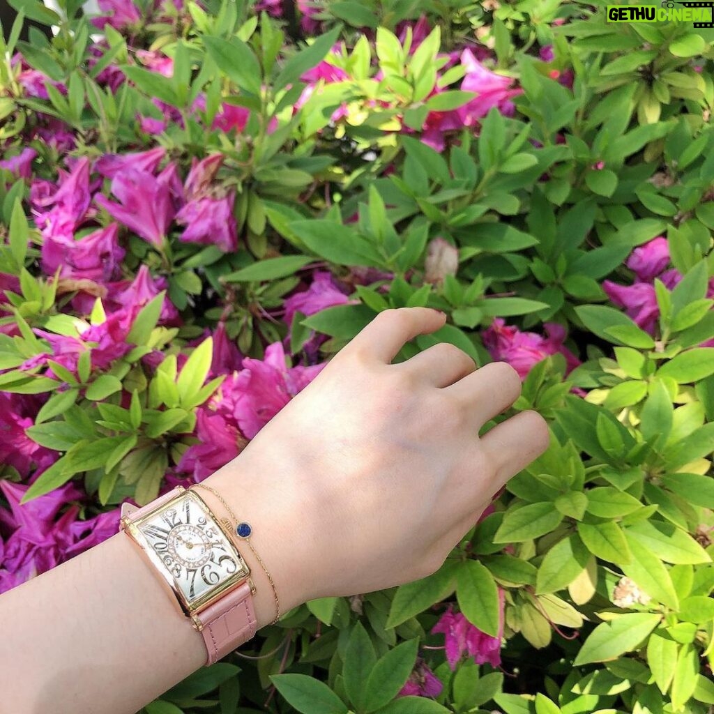 Goo Ha-ra Instagram - 예쁜 시계와 예쁜 꽃 예쁜 것만 보자 :)#franckmuller#hara#ハラ