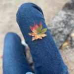 Heize Instagram - 가을에만 볼 수 있는 친구들아 안녕 만나서 반가웠다! 설악산 흔들바위