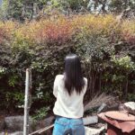 Heize Instagram - *👀* ..🦚💗☁️