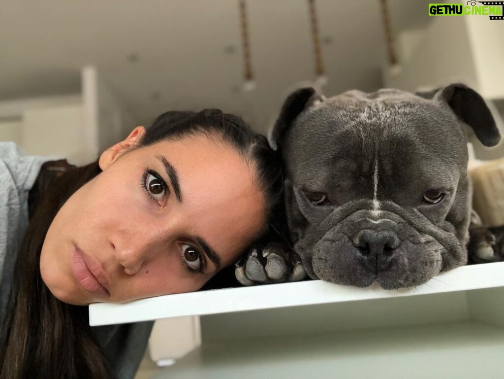 India Martínez Instagram - Solo quien ama a los animales y ha tenido mascota sabe lo que se les quiere y echa de menos cuando se van. Justo Un mes sin mi Buddha. 🙏🏽