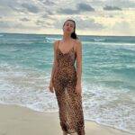 Irina Shayk Instagram - Back into the wild 🐾