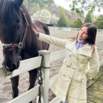 Isabella Tena Instagram - animals appreciation post ☺️💓✨🫏🐥🐎