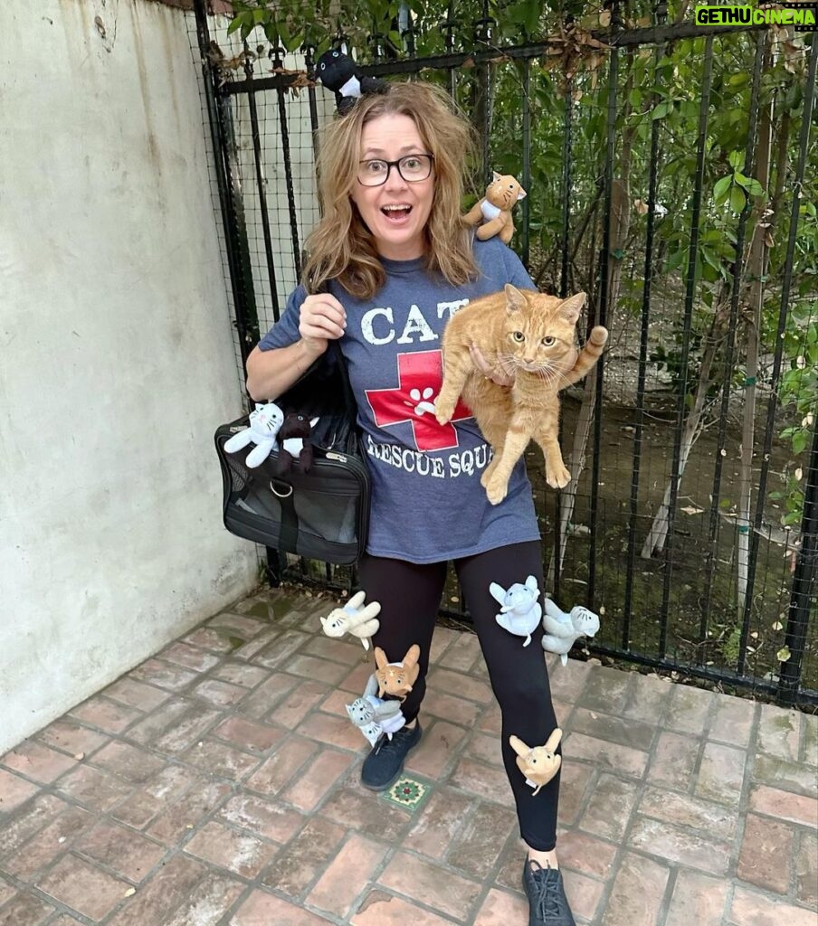 Jenna Fischer Instagram - Happy Halloween! 🐈‍⬛🎃🐈 Adopt a cat from @kittenrescuela