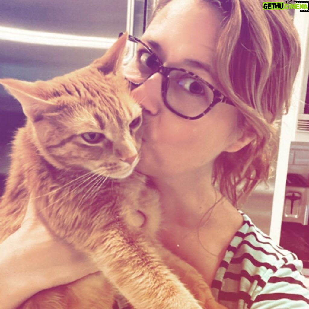 Jenna Fischer Instagram - Happy #caturday from me and @mrsonnycat who was annoyed we took this photo.
