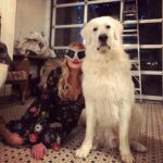 Jennifer Coolidge Instagram - ❤️❤️❤️❤️❤️❤️❤️❤️❤️❤️❤️❤️❤️