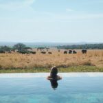Jennifer Coolidge Instagram - I’ve always had this crazy love and admiration for elephants... one day my great friend Mike said, “You shall meet them... when I take you to meet the wildebeests.” Magical Africa --🙏🏻❤️ I don't think I will ever be the same .'Thankyou Mike !!#Singita 🐘🦒🦍🐆🦓 Serengeti National Park