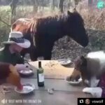 Jennifer Coolidge Instagram - Does anybody know if this guy is single?? We have so much in common: he loves animals, red wine, eating outside -- and he wears a hat. ❤️❤️
