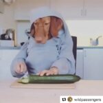 Jennifer Coolidge Instagram - I don’t know why I’m always this hungry.
