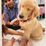 Jigyasa Singh Instagram - Rakhi 2023 with my boys ! ♥️🧿🫶🏻👫🐶