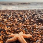 Joe Sugg Instagram – Good Friday beach walk. I wonder if the strong winds we had brought all these critters to the beach? So many starfish washed up. (I did frisbee them back into the sea to give them another chance but I think the tide was going out 😬🤦🏼‍♂️ )