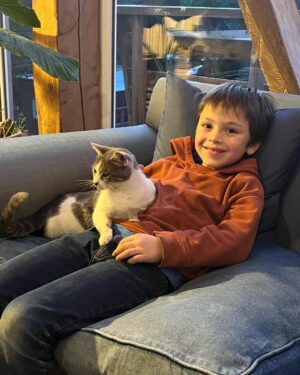 José Miguel Viñuela Instagram - Parece q vamos a tener más hijos… Jamás pensè q me iba a encantar con los gatos.. y mis niños para q decir… los aman!!! ❤️❤️❤️❤️❤️