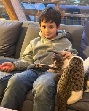 José Miguel Viñuela Instagram - Parece q vamos a tener más hijos… Jamás pensè q me iba a encantar con los gatos.. y mis niños para q decir… los aman!!! ❤️❤️❤️❤️❤️