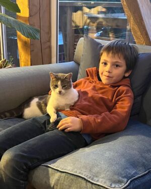 José Miguel Viñuela Instagram - Parece q vamos a tener más hijos… Jamás pensè q me iba a encantar con los gatos.. y mis niños para q decir… los aman!!! ❤️❤️❤️❤️❤️