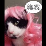 Kang Min-ah Instagram -