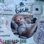Katie Douglas Instagram - Memory Archive