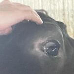 Katie Douglas Instagram - Memory Archive