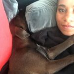 Kelly McCreary Instagram - Motown called it a night early so she can rest up for the #greysanatomy season premiere tomorrow. @greysabc #sweet16
