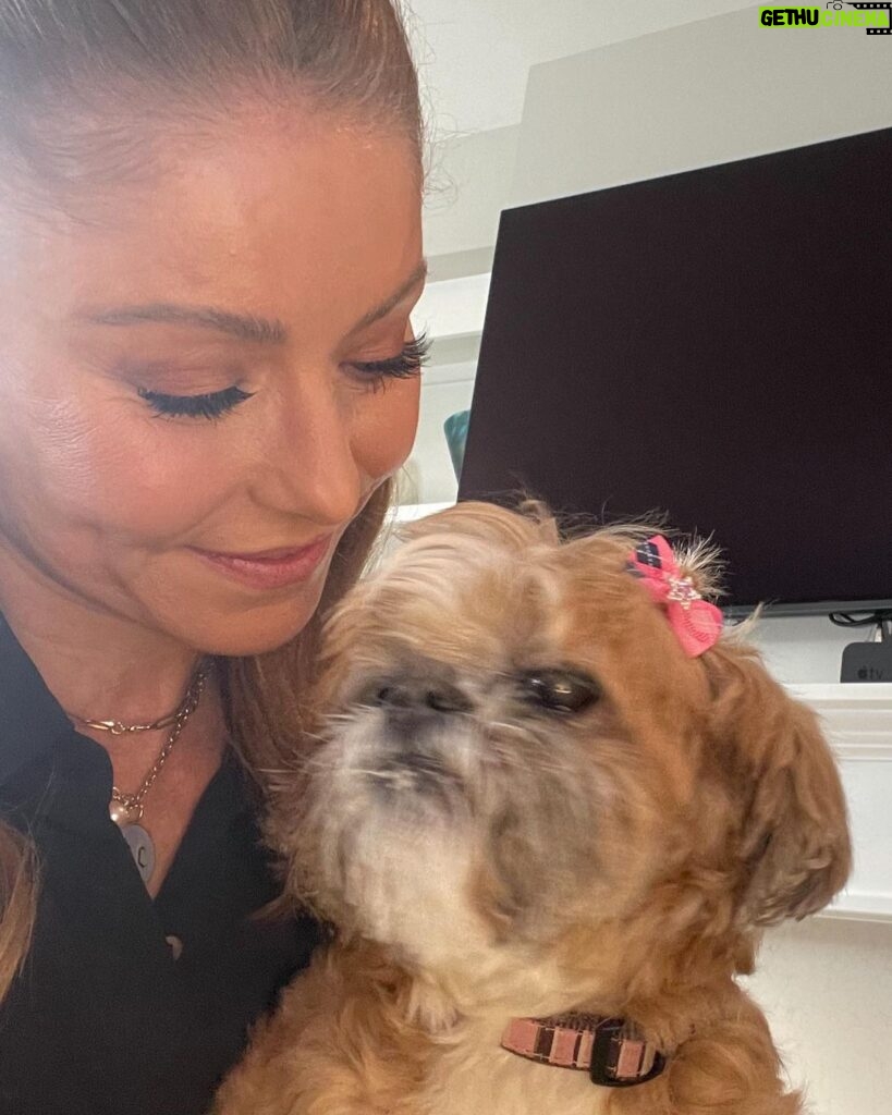 Kelly Ripa Instagram - Happy birthday to the grandest dame, CHEWIE! ♥️🎈🎂💐You wouldn’t know by the looks of it, but we sure are glad we found each other!