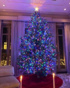 Kelly Ripa Instagram - Behold the lady. She’s colorful this year! 🎄