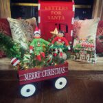 Lacey Chabert Instagram - LuLu and Elfie have arrived 🎄🧑🏻‍🎄❤️🎄🧑🏻‍🎄❤️